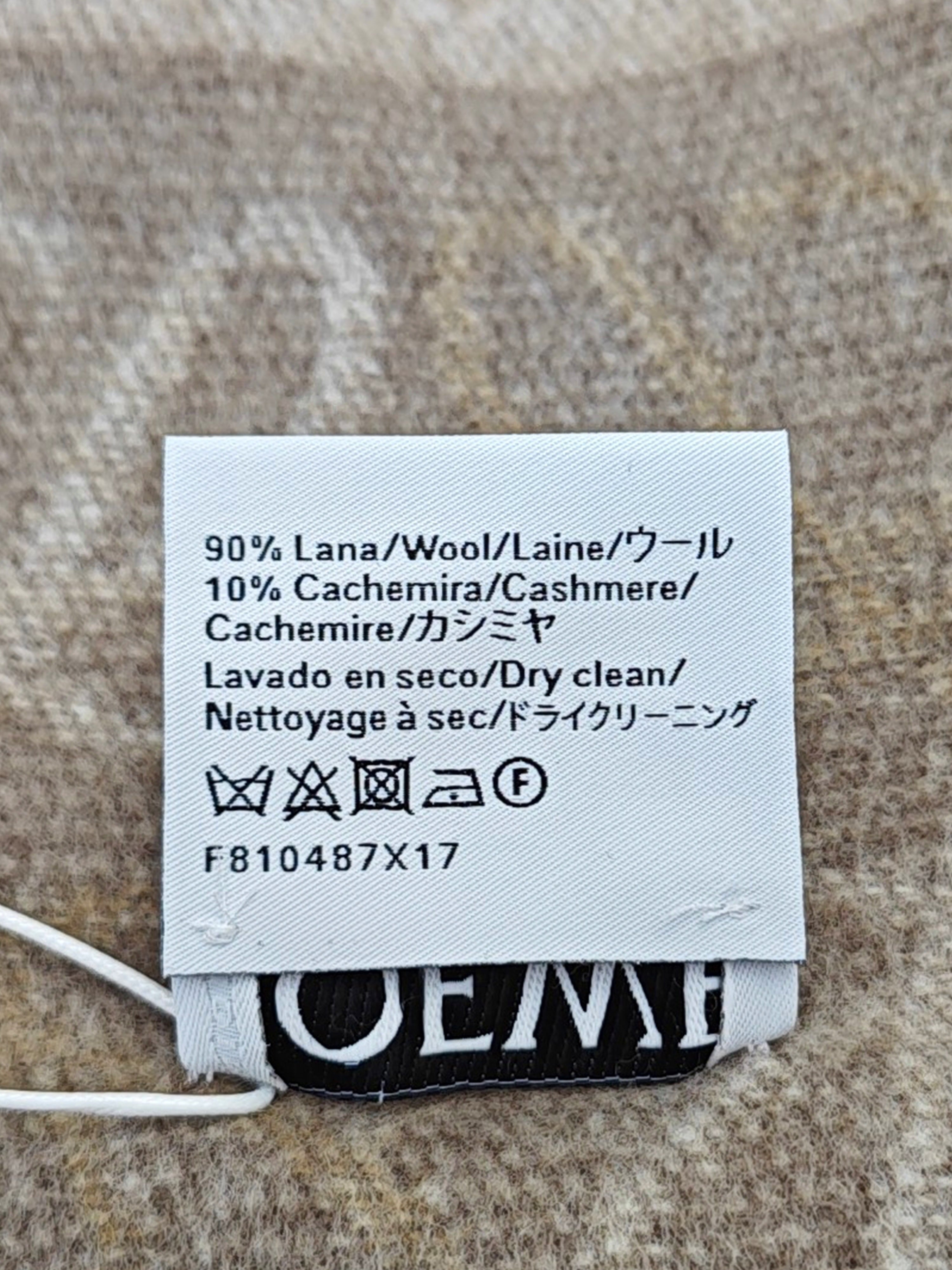 Loewe Fringed intarsia Scarf in wool and cashmere